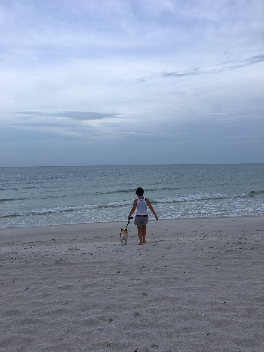 skchmonkeyhope's tweet photo. HAPPY FRIDAY, EVERYBODY!
Find your happy place🤗
#keepitsimple #goodcompanyiseverything
#tuneinbytuningout
#Hope #lifewithafrenchie 
#weekend #vibes #socialdistancing https://t.co/3q7M1rZLQQ
