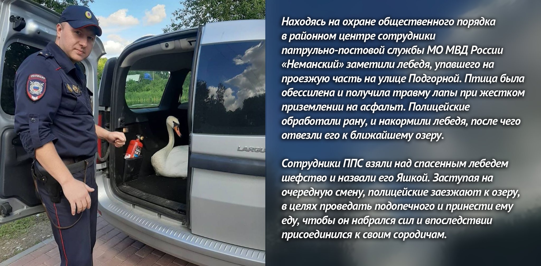 сайт мвд не работает