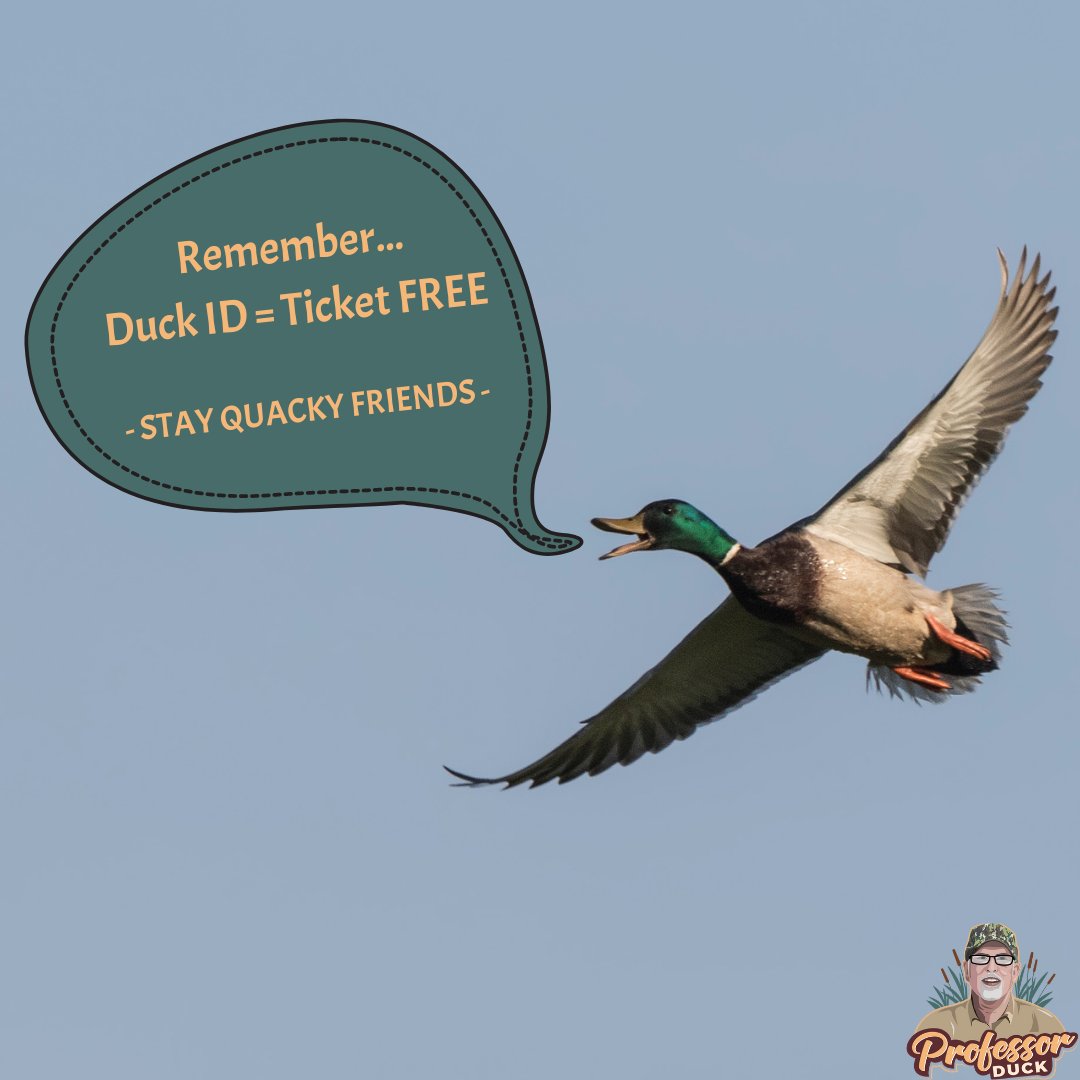 Fowl Friday ~ Friendly Reminder
•
Don't let your season start off on a negative ( ➖)
•
Do your part. Train your eyes. See the bird in the sky 👀
•
Visit duckidtraining.com to get your knowledge 🆙

#fowlfriday #duckid #waterfowlid #conservation #huntresponsibly #hunting