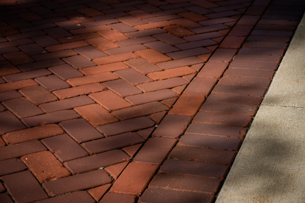 facilitiesmsu's tweet image. Missing campus? We got you ✅ #MSU #SpartansWill