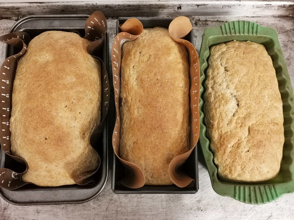 JojoSekri's tweet photo. We baked Fresh wholemeal Toastbrot /Toast Bread
JojoCookingMagic Homemade Toast Bread
JojoCookingMagic Recipe
#halalbread #naturalingredients #nopreservatives #nofoodcoloring #noaddictives #homemade #baking #healthyfood #healthydiet #foodie #goodfood #noartificialflavors #halal https://t.co/A0YXivdRZp