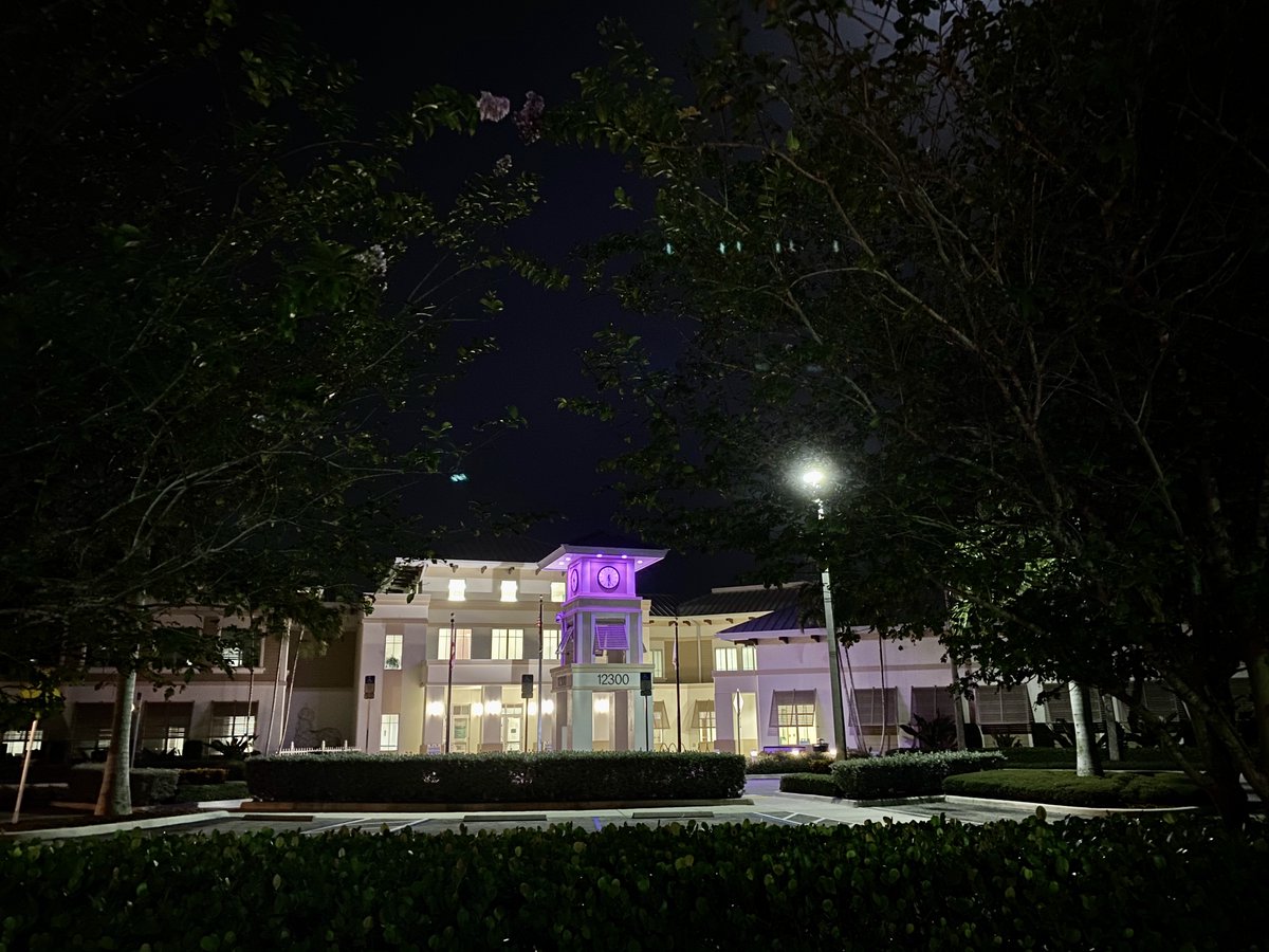 Wellingtonflgov's tweet photo. This September Wellington is shining a light on Chiari Malformation Awareness Month by lighting the Village Hall Clock Tower and the Patriot Memorial fountain purple. 💜
#ChiariMalformation is a serious, incurable neurological disorder that affects many families around the world. https://t.co/dfBOv7RkMR