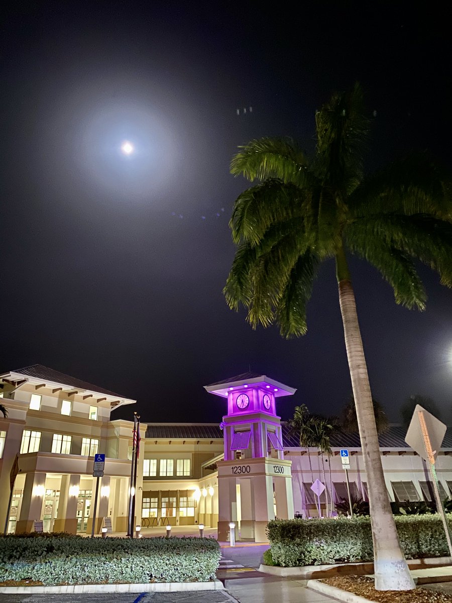 Wellingtonflgov's tweet photo. This September Wellington is shining a light on Chiari Malformation Awareness Month by lighting the Village Hall Clock Tower and the Patriot Memorial fountain purple. 💜
#ChiariMalformation is a serious, incurable neurological disorder that affects many families around the world. https://t.co/dfBOv7RkMR