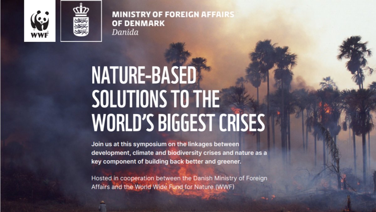 DanishMFA's tweet photo. If we act smart, we can #BuildBackBetterAndGreener 🌳

Join the symposium, hosted by @DanishMFA and @WWFdk, on the linkages between #development, #climate and #biodiversity crises.

Learn more about the event here 👉 https://t.co/g57NhTSqWm 

#dkgreen https://t.co/EOvoL5zDQ8