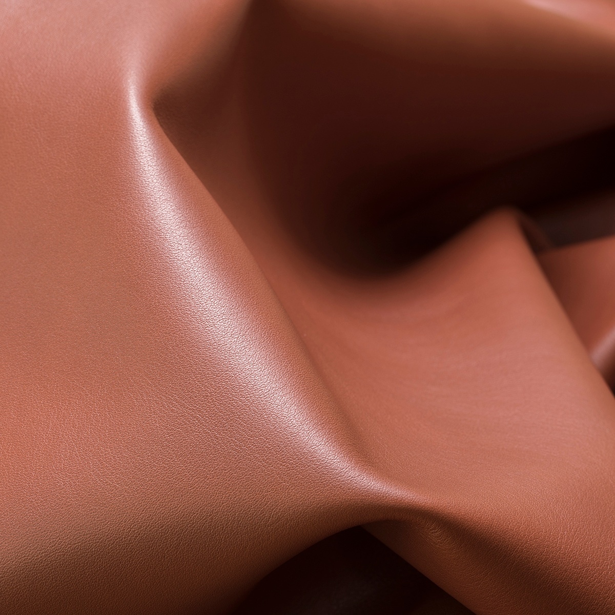 Edelman Leather tweet media