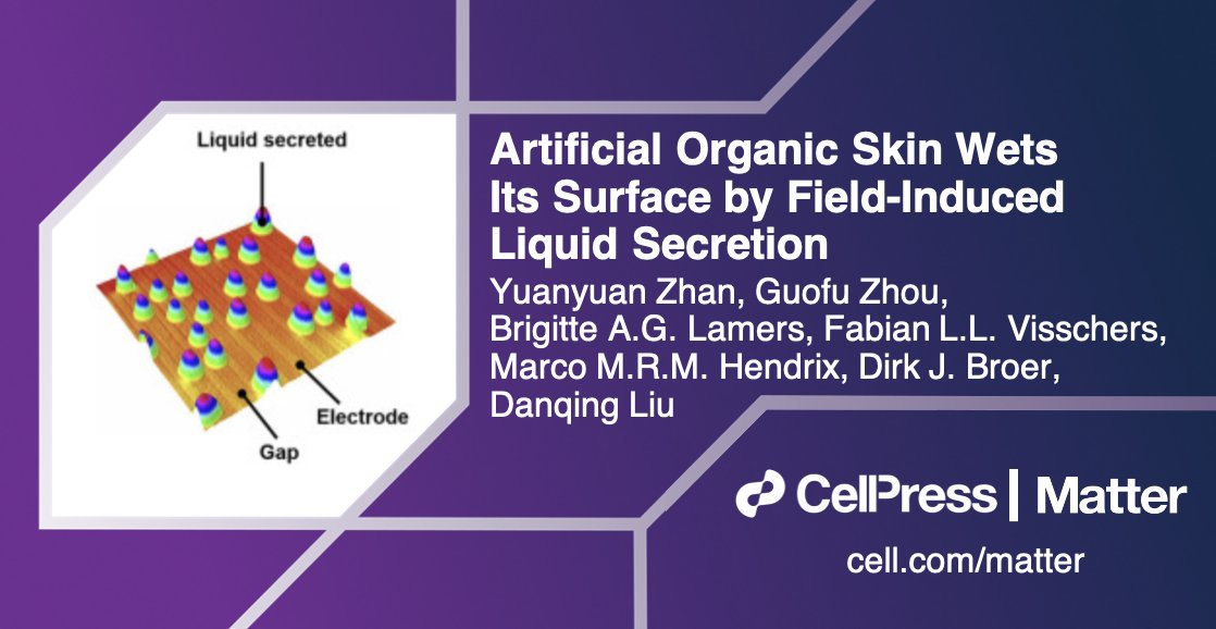 Matter_CP's tweet photo. Danqing Liu, Dirk Broer, &amp; colleagues @TUeindhoven develop an artificial skin that “sweats” and releases fluids via triggered release. #OA in #MatterIssue15! @TUe_ST

Read it here: https://t.co/BeHmDE65fc https://t.co/kHIz3oPUaV