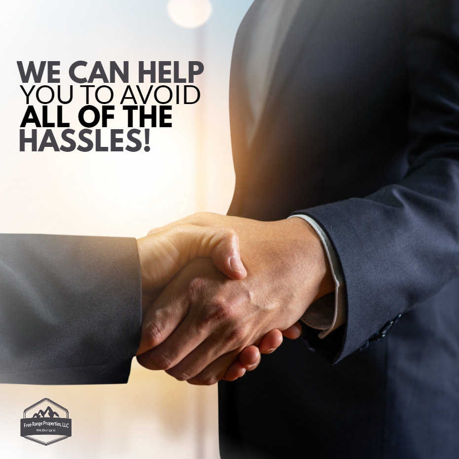 FreeRangeProp's tweet image. We’ll make you a fair, no-obligation cash offer on your property as soon as you submit your information to us.
-----
Learn more: freerangeproperties.net
.
.
#freerangeproperties #land #realestate #nature #landscape #property #realtor #house #realestateagent #defender #home