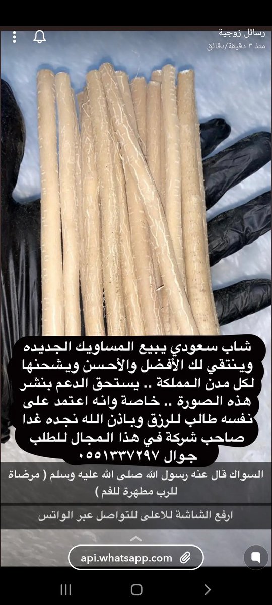 ياخوان ابيع مساويك طازجه استخراجها بنفسي واختار الفضل فيها واشحنها لكل مدن المملكه اتمنى من الجميع الوقوف معي دعمي تشجيعي في مشروعي والله افرح اذا احد عملي لي رتويت على الاقل وتسابي لطلب ٠٥٥١٣٣٧٢٩٧ #اليوم_الوطني_السعودي_90 

#كبير_اسيا