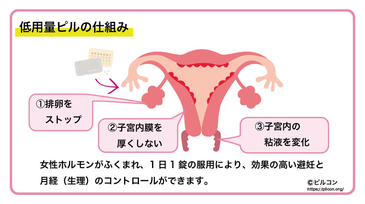 Pilcon Npoピルコン 性の健康を学ぶオンラインイベント 動画配信中 避妊や月経トラブル改善に使用される 低容量ピル 生理がこなくなるとは耳にしたことがある方はいるかもしれません 今日は低容量ピルの仕組みについて簡単に説明します Pilcon Npoピルコン 性の健康を学ぶオンラインイベント 動画配信中 避妊や月経トラブル改善に使用される 低容量ピル 生理がこなくなるとは耳にしたことがある方はいるかもしれません 今日は低容量ピルの仕組みについて簡単に説明します