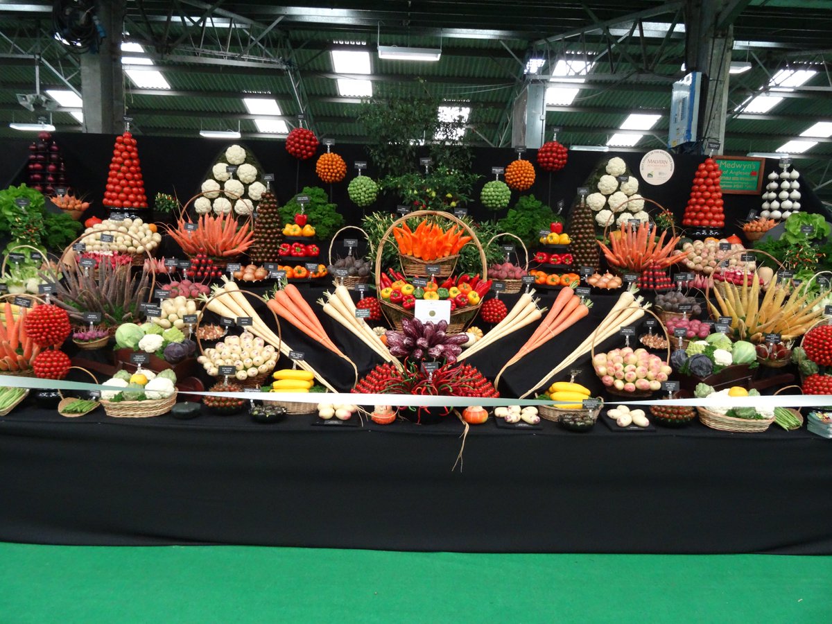 medwynsofangles's tweet photo. Having a day off today. Am looking at a few pictures of previous displays thinking ahead for Chelsea next year fingers crossed. The leek and onions are have already been started. 9 months of growing ahead. https://t.co/3MwGC2KKcx