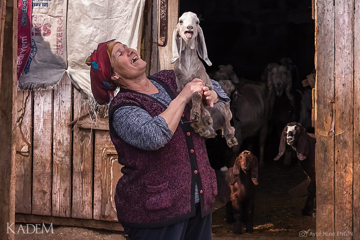 Torhildan65's tweet photo. Dünyayı güzelleştiren daima sevgi olacak!
İçten bir bakışın, sıcak bir gülüşün ve merhamet dolu bir kalbin karşılık bulmadığı hiçbir canlı yoktur. https://t.co/bgZ6tEGjce