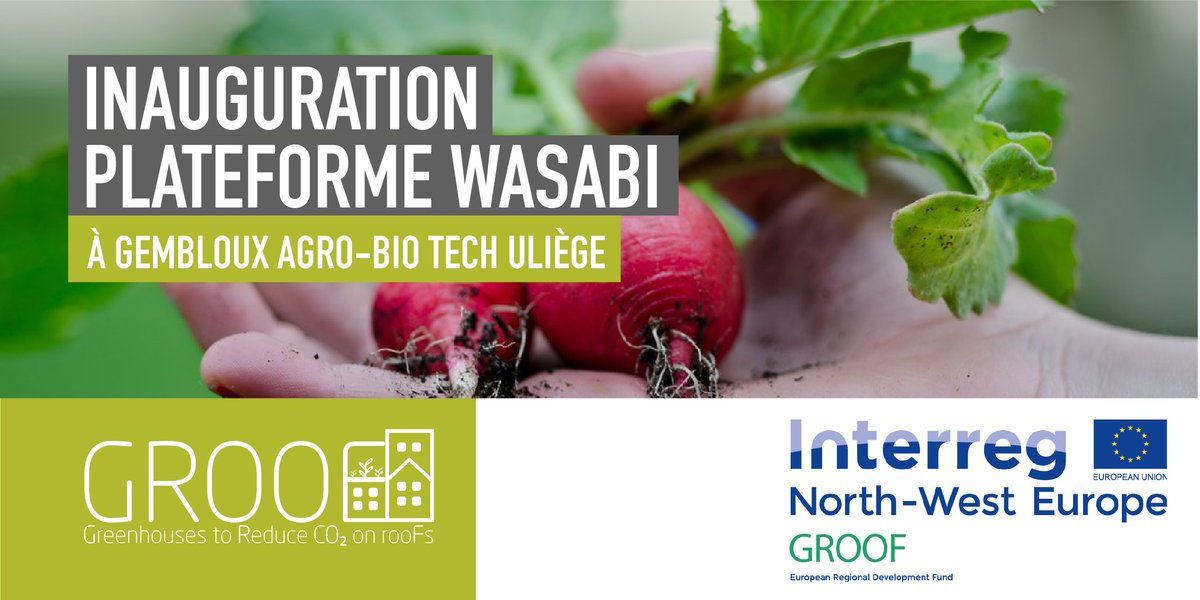 Evenement WASABI le 23/09 coordonné par le C-RAU (Centre de Recherches en Agriculture Urbaine), à <a href="/AgroBioTech/">Gembloux Agro-Bio Tech</a>, <a href="/UniversiteLiege/">Université de Liège</a>, avec le soutien précieux <a href="/INTERREG_NWE/">Interreg NWE</a> GROOF. Intervention également de <a href="/SmartAquap0nics/">SmartAquaponics</a> 
👉 infos: construction21.org/community/pg/p…