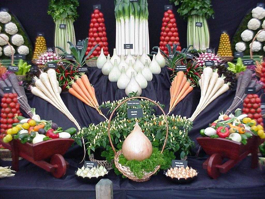 Having a day off today. Am looking at a few pictures of previous displays thinking ahead for Chelsea next year fingers crossed. The leek and onions are have already been started. 9 months of growing ahead.