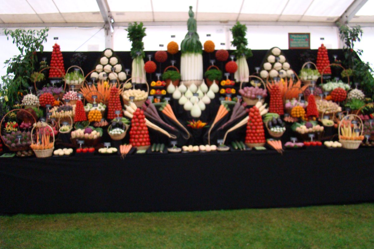 medwynsofangles's tweet photo. Having a day off today. Am looking at a few pictures of previous displays thinking ahead for Chelsea next year fingers crossed. The leek and onions are have already been started. 9 months of growing ahead. https://t.co/3MwGC2KKcx