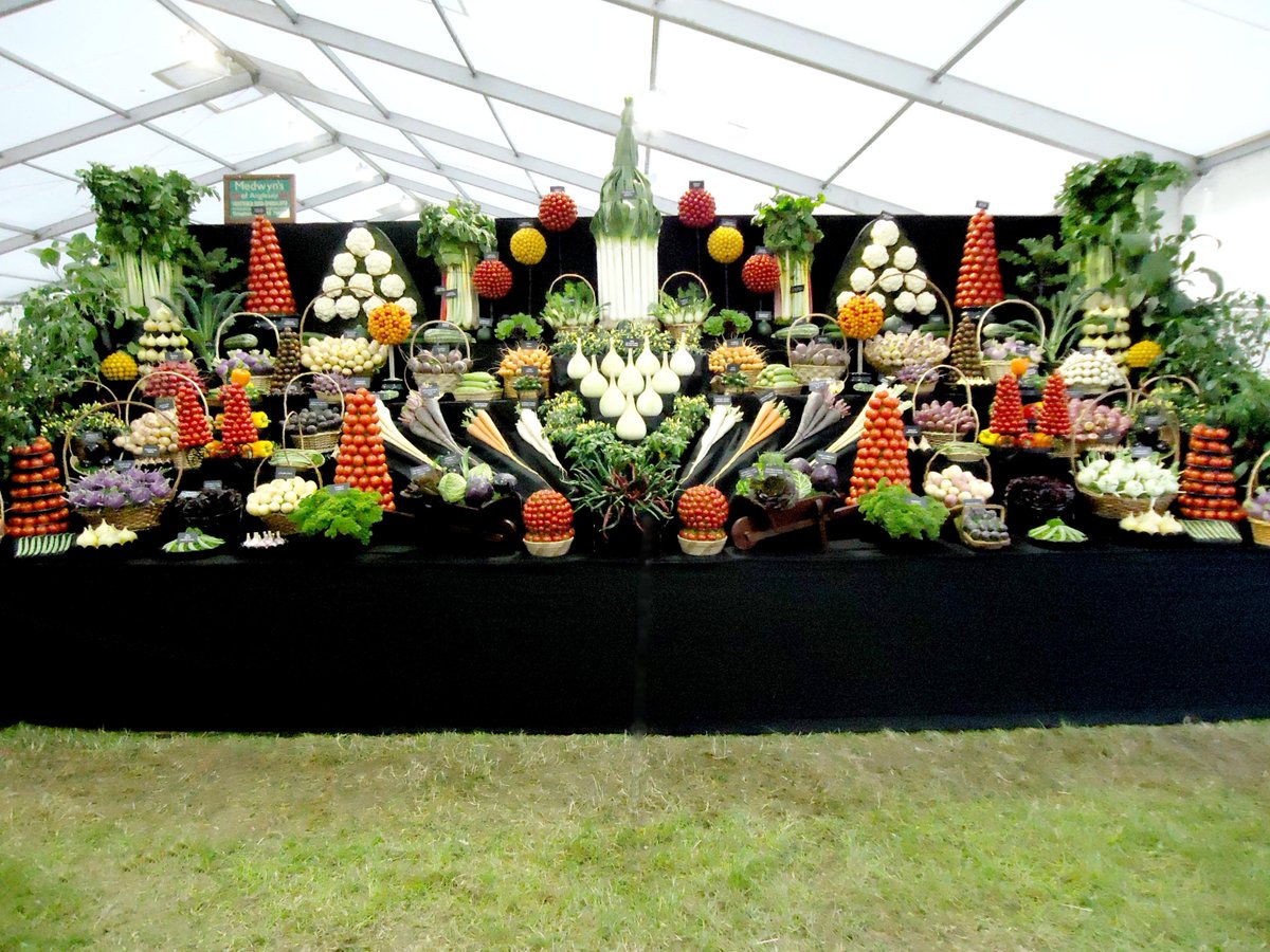 medwynsofangles's tweet photo. Having a day off today. Am looking at a few pictures of previous displays thinking ahead for Chelsea next year fingers crossed. The leek and onions are have already been started. 9 months of growing ahead. https://t.co/3MwGC2KKcx