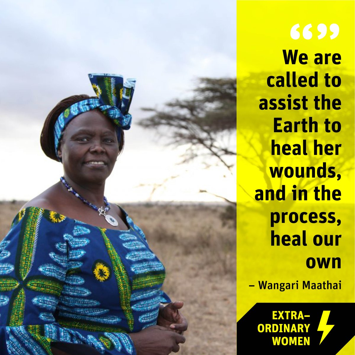 “We are called to assist the Earth to heal her wounds, and in the process, heal our own”
– Wangari Maathai