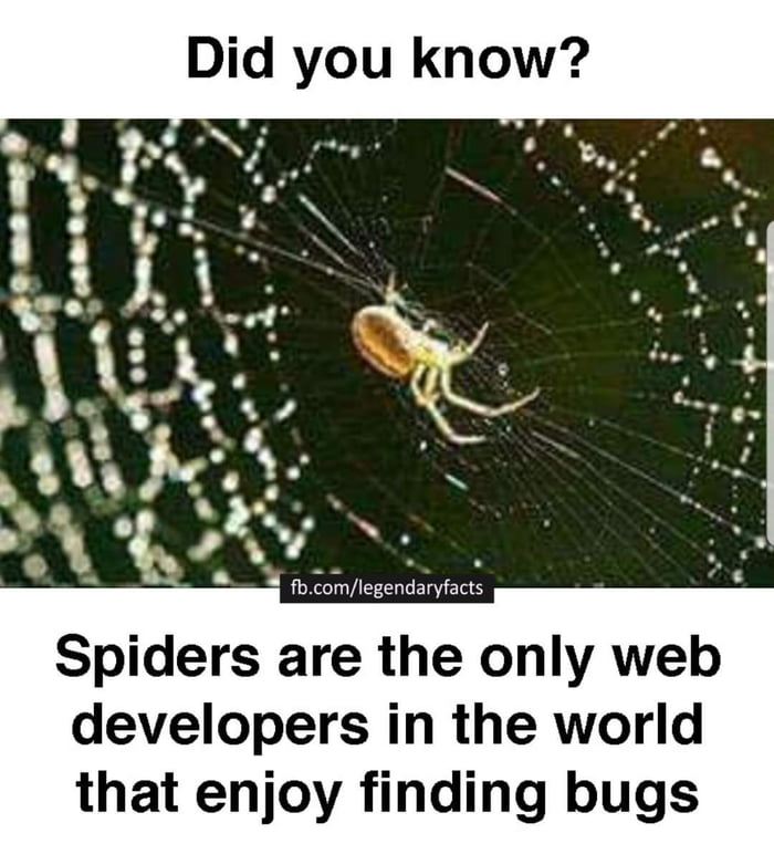 PJWDNet's tweet photo. Friday Funday! #friday #funday #web #PJWDNet https://t.co/VgDca2mtdb