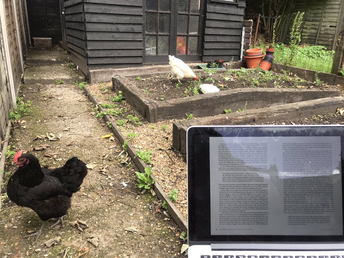 shackletontrio's tweet photo. Sat with a coffee enjoying my preview of Bruce Lindsayβs book, whilst the chickens set to work digging up the ground elder and bind weed. Iβm βgardeningβ.
@bruce956 #gardening #chickens #reading #littlediggers https://t.co/LWst8hZ2Og