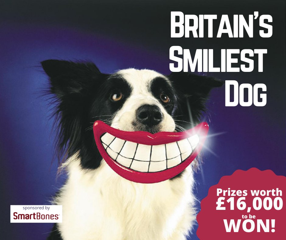 Dogs_Today's tweet photo. Does your dog have the biggest smile? SmartBones are giving the most smiley dogs their healthy, non-rawhide treats - plus £16,000 worth of prizes for everyone that enters! #britainssmiliestdog #SmartBones #photocompetition
Entries Close September 30th >> https://t.co/cCPojUTOHF https://t.co/rlzQiK8n1J
