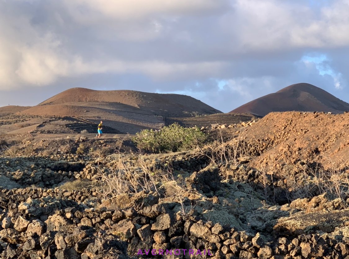 @avernotrail tweet media