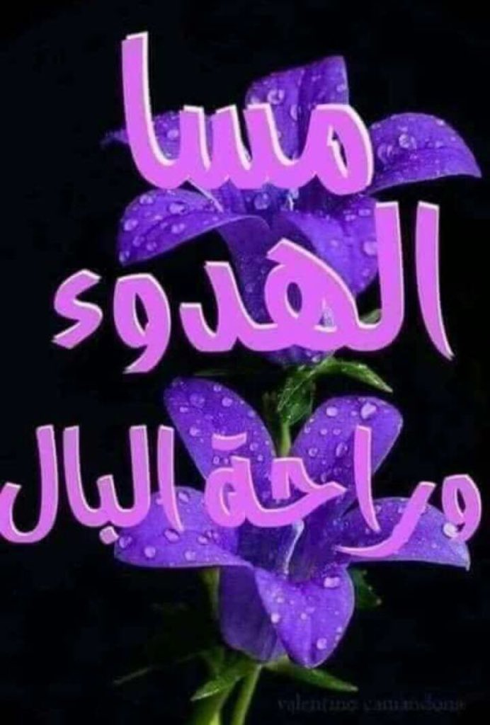 mmmtam666's tweet photo. @abumuhannad858 @OtaiAbdullah هاود هاود ابو مهند (🌺) https://t.co/SncPGli8f4