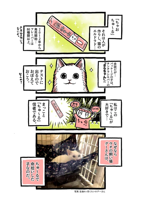 ヨボヨボの迷い猫を保護したら…ちゅ〜る最強伝説 と お薬問題【10】 