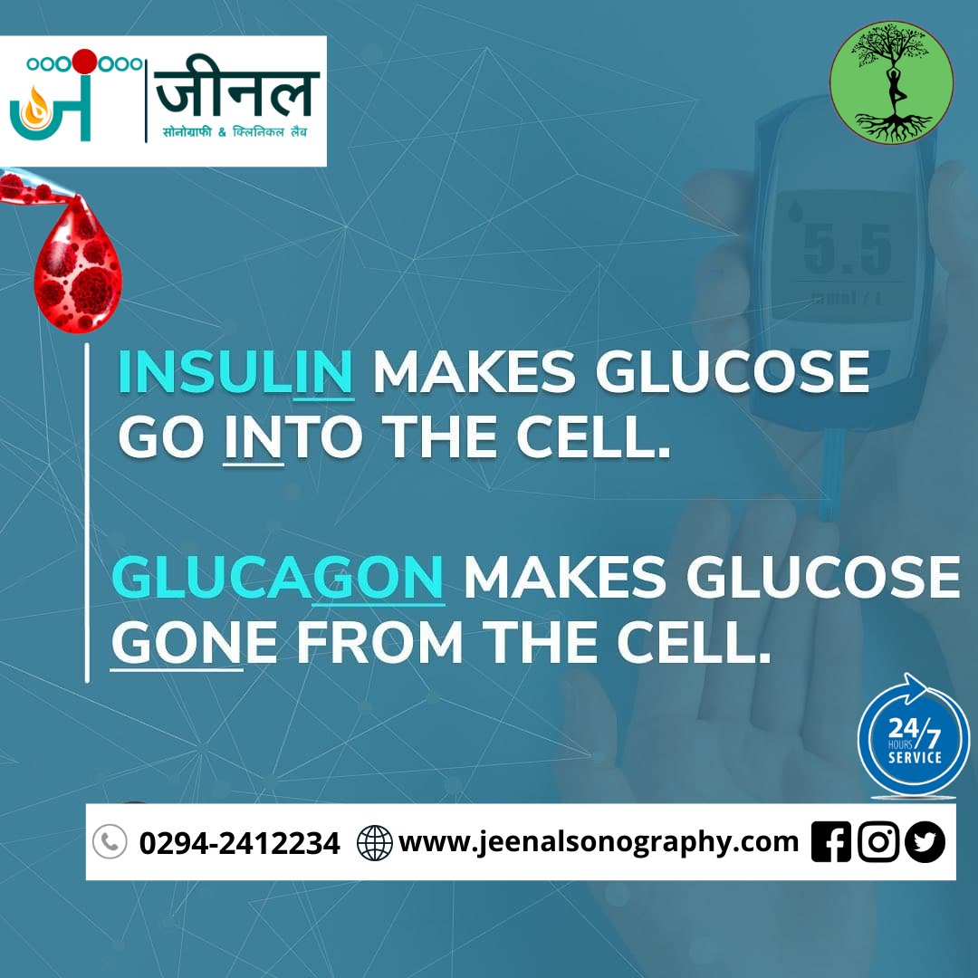 JSonography's tweet image. Insulin makes glucose go into the cell.

Jeenal Sonography &amp;amp; Clinical Lab 
Provide facilities to your door.
Diagnostic Lab in Udaipur - Book appointment from best diagnostics labs for X-Ray, 2D and 3D sonography ,CT scan, Endoscopy, MRI scan, Thyroid test, Ultrasound in udaipur.
