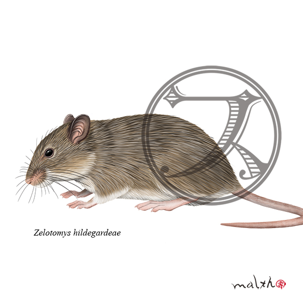動物イラストのtwitterイラスト検索結果 古い順 動物イラストのtwitterイラスト検索結果 古い順
