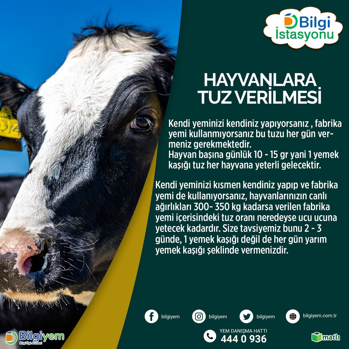 ***HAYVANLARA TUZ VERİLMESİ***
⠀
📞444 0 936⠀
📱WhatsApp Bilgi Hattı: 0530 030 16 16⠀
🌐bilgiyem.com.tr⠀

#tuz #hayvancılık #inek #sığır #yem #bilgiyem #matlı #çiftçi #çiftlik