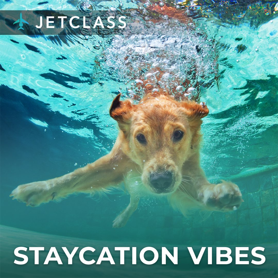 JetClasscom's tweet image. Planning a short family getaway?  There are so many amazing options close to home, and JetClass will get you there quickly, safely and economically. Everyone’s welcome onboard!  Visit jetclass.com/en/ and start packing! #staycation #privatejet #jetclass