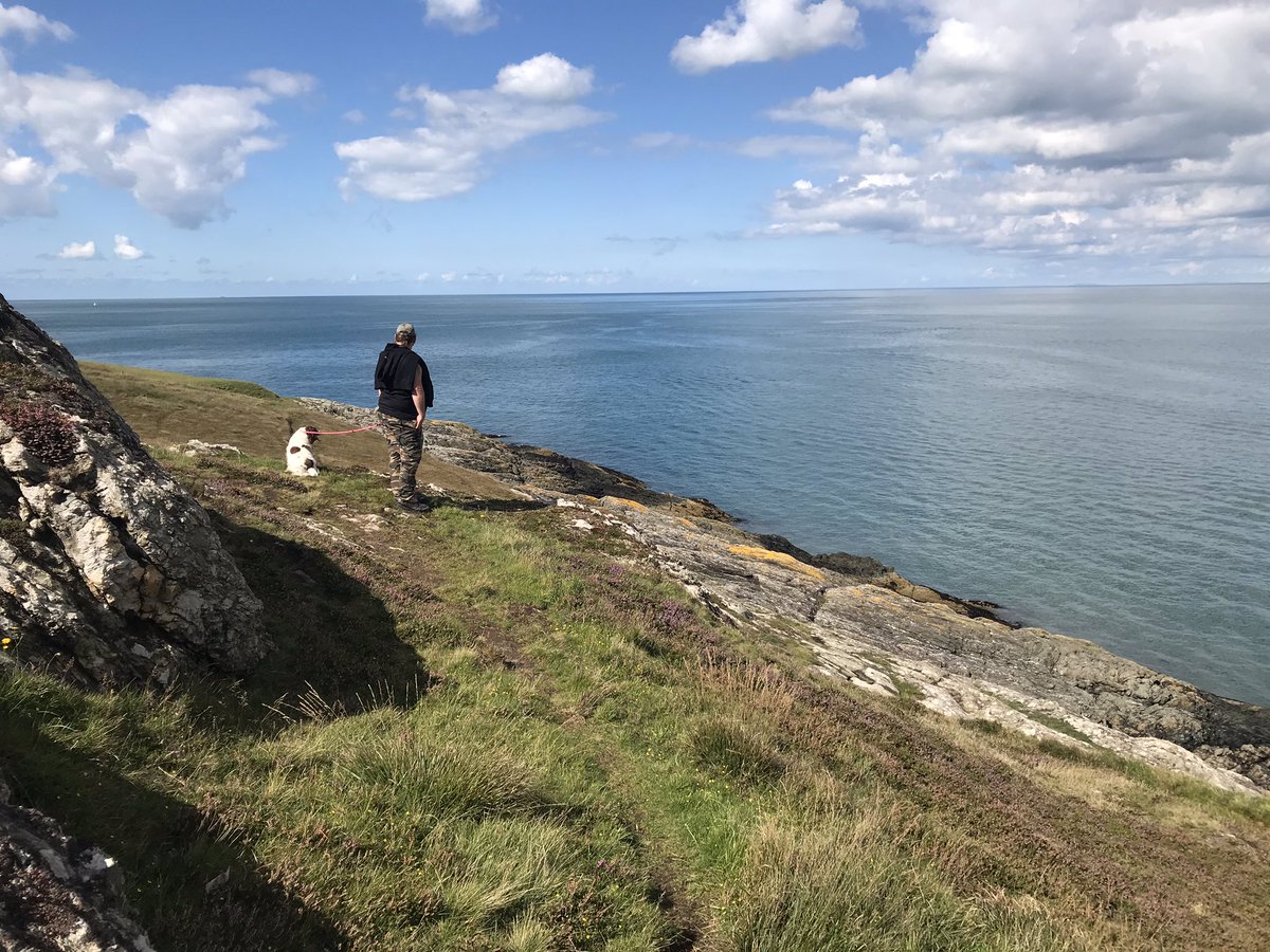 FizzMurphy's tweet photo. Anglesey Coastal Path Rocks! #anglesey #dogtales #dogdiary https://t.co/0hQqCh1072
