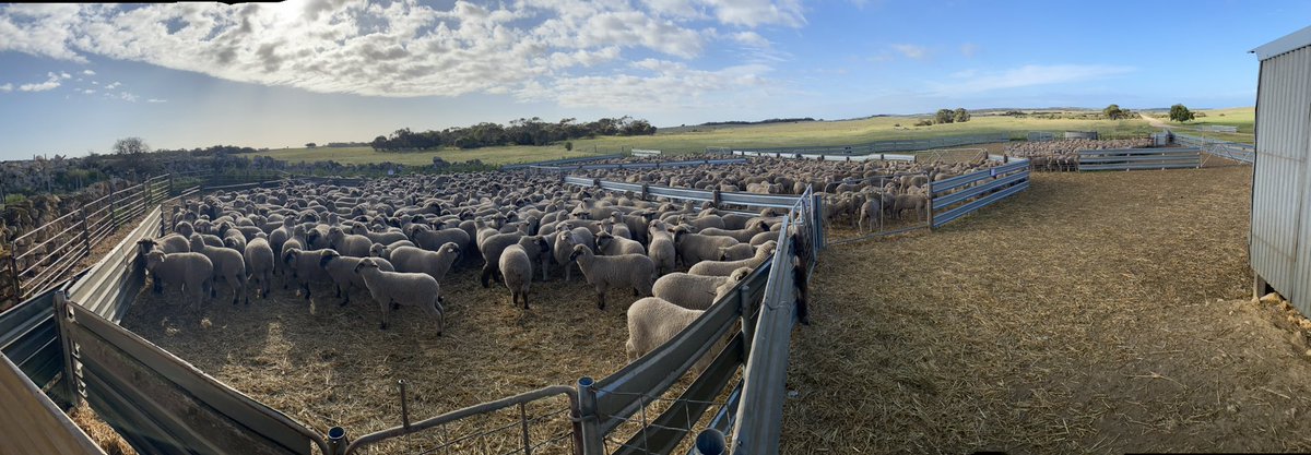 Steve Agars tweet media