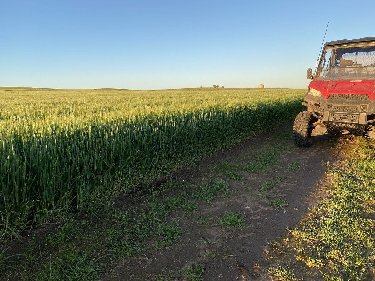 Steve Agars tweet media