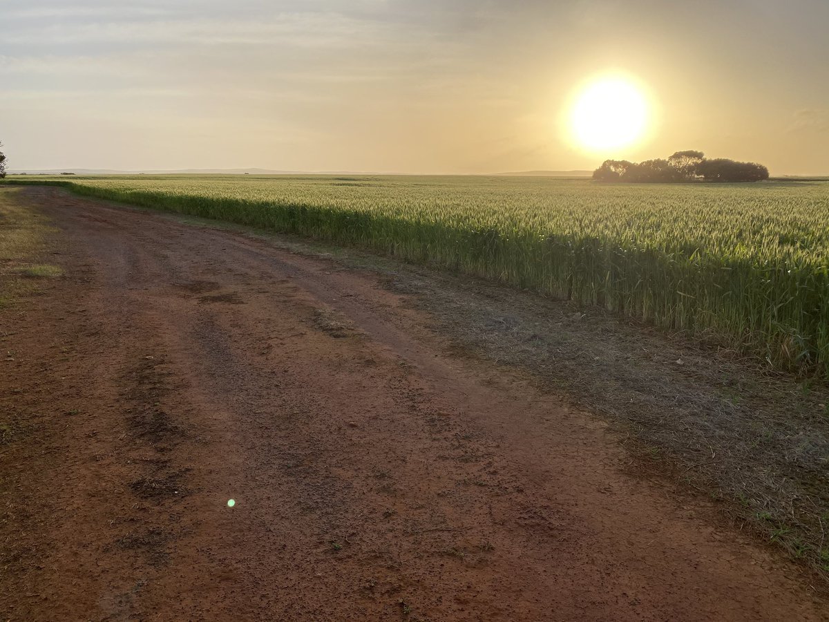 Steve Agars tweet media