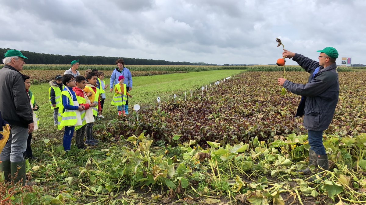 Lelystadse_Boer's tweet photo. Toch een mini-oogstdag vandaag. Leren waar je eten vandaan komt. Samen met @IVNflevoland, de boeren en enthousiaste vrijwilligers staken vandaag leerlingen van basisscholen uit Lelystad de handen uit de mouwen. #oogst #oogstdag https://t.co/BLz1EGROvL