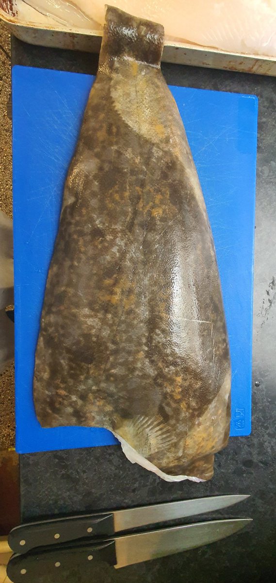 chefcallum1986's tweet photo. What amazing halibut wild line caught beautiful https://t.co/Aob4tmx9np