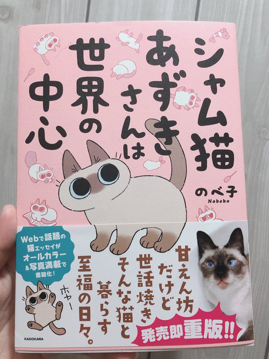 やっと買えた〜❣️あずきさん可愛いよ〜のべ子さんの丸みのある絵と特徴のある擬音が大好き?? 