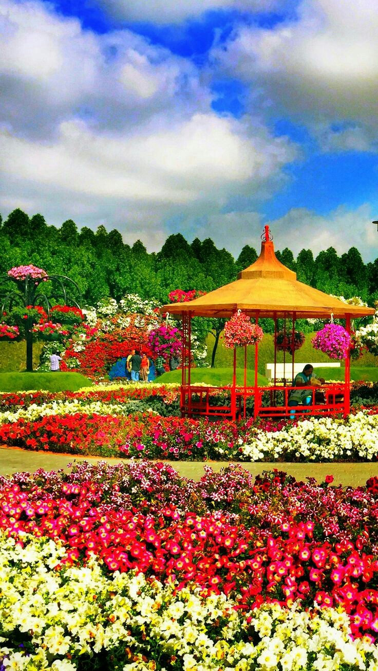 ���� ���� ������ �� ���� ������