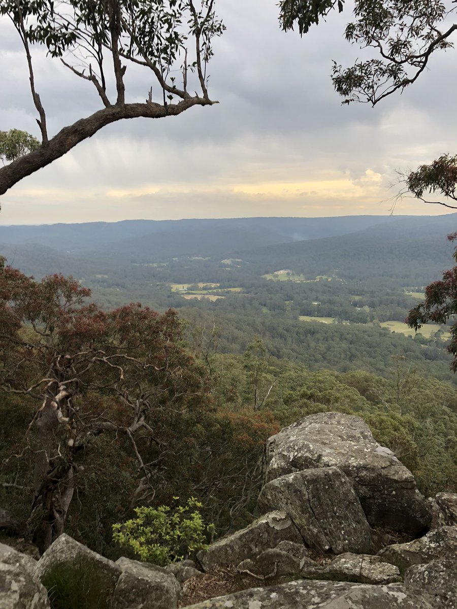 Newy Traveller tweet media