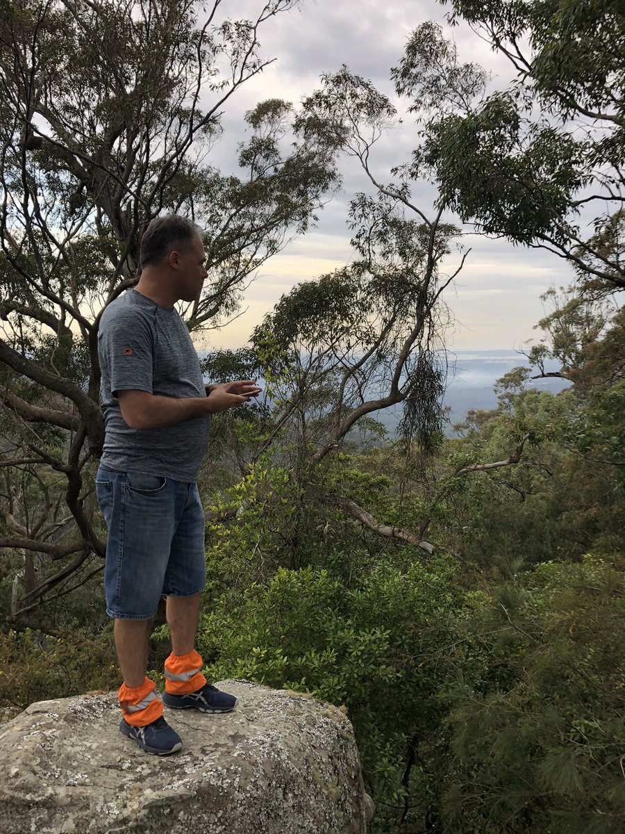 Newy Traveller tweet media