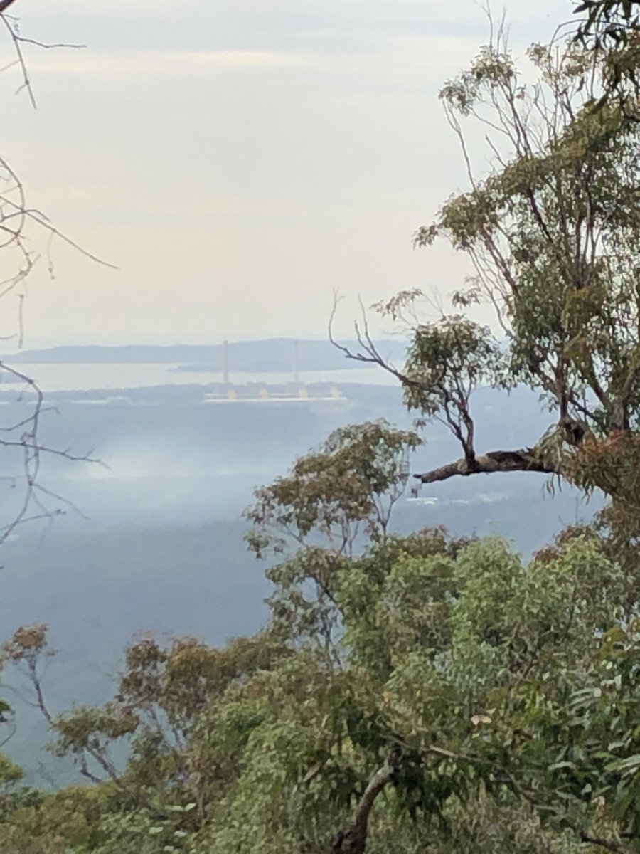 Newy Traveller tweet media