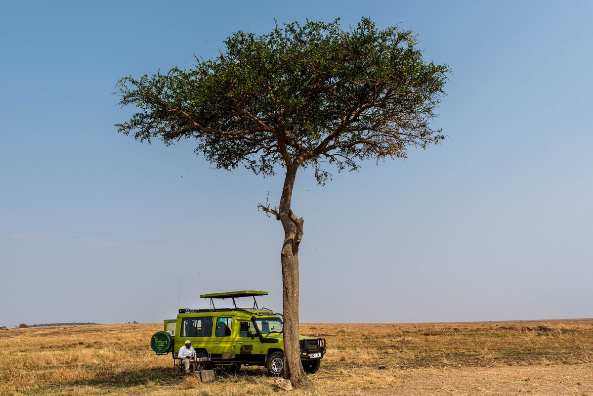 KiboSlopes's tweet photo. Take time off your busy schedule and hide in the vast #MasaiMara N.P as you enjoy the ongoing Wildebeest Migration &amp; nature. Our amazing Masai Mara deals{from 18540/= 3 days, 2 nights} will surprise you. #wildlife #WildlifeDay #Travel #MagicalKenya #tembeakenya #Tembea254 #photo https://t.co/me74MZsmdm