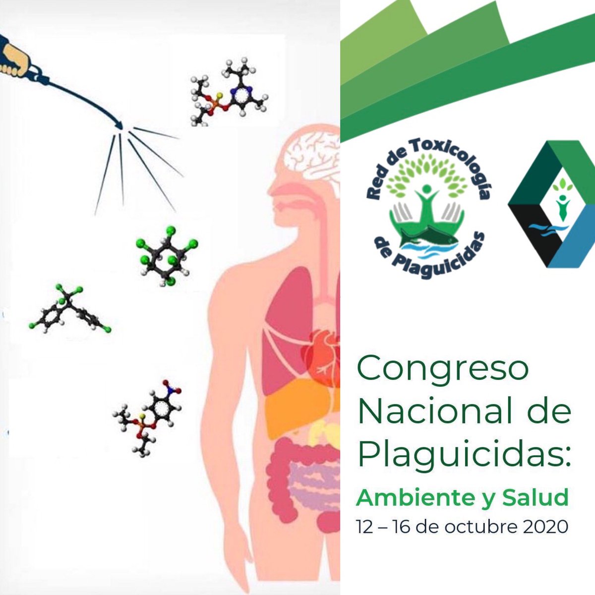 plaguired's tweet photo. Los plaguicidas y la salud humana: conocimiento de frontera en la toxicidad de plaguicidas. Este tema y más relacionados con esta línea de investigación en el Primer Congreso Virtual de Plaguicidas: Salud y Ambiente. #StayTuned #StayAtHome #Maskupmexico https://t.co/gvr3UioYVk