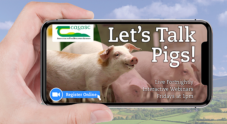 teagasc's tweet photo. Only one hour to go until the final webinar in the #LetsTalkPigs Series taking place at 1pm. Guest speaker Charlotte Lauridsen will join the webinar to discuss supplementary milk in the farrowing room. Register here https://t.co/ZlI8Arenmy
@TeagascPig https://t.co/iSn29z6TWk