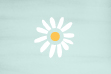 TheBestLifePro1's tweet photo. Did you know that the #daisy symbolises new beginnings? We've incorporated it into our new lifestyle website branding because we want to inspire you to create a better life. #newbeginnings #bestlife #bestlifeproject #website #lifestyle #newlife https://t.co/y29VqB3Lbn