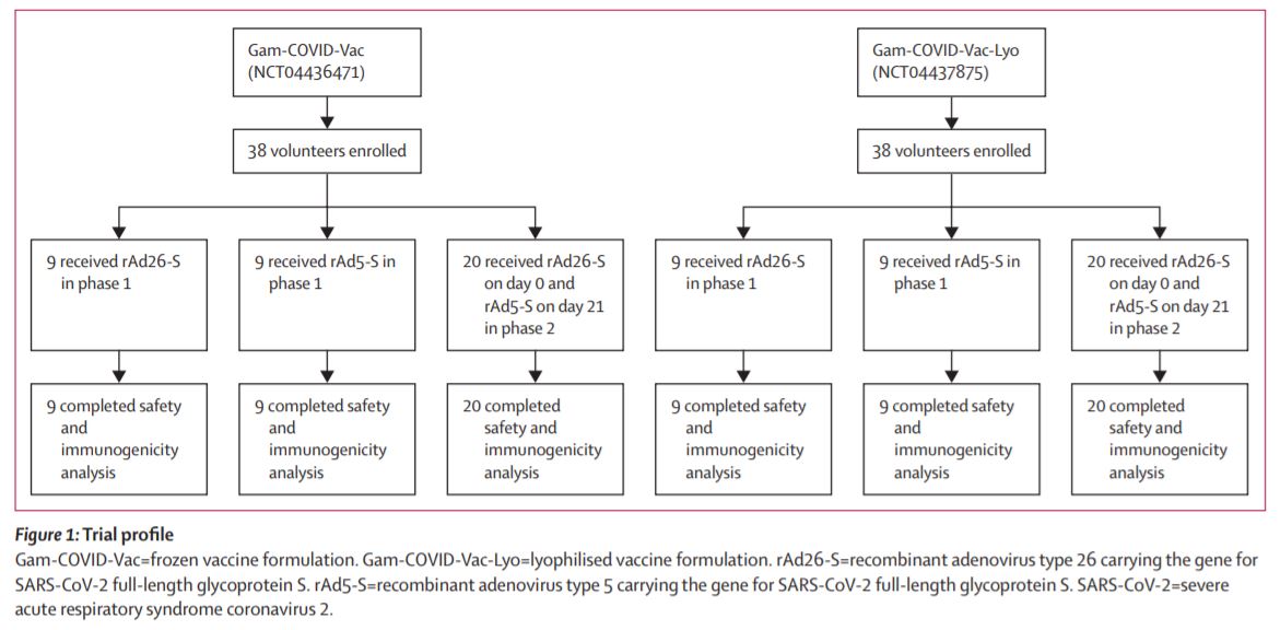 The new paper reports the findings of two open-label, non-randomised phase 1/2 trials looking at a frozen formulation and a freeze-dried formulation of a two-part  #COVID19 vaccine (2/8)