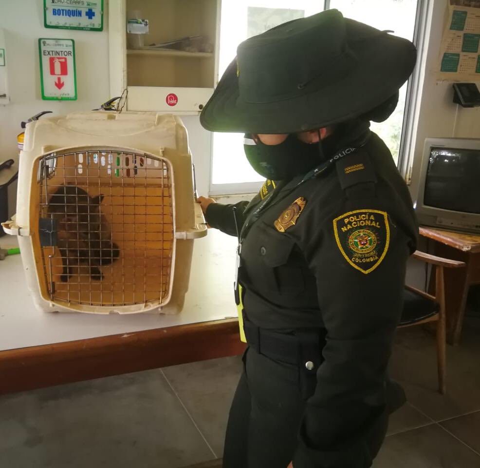 Policía Metropolitana de Bucaramanga tweet media