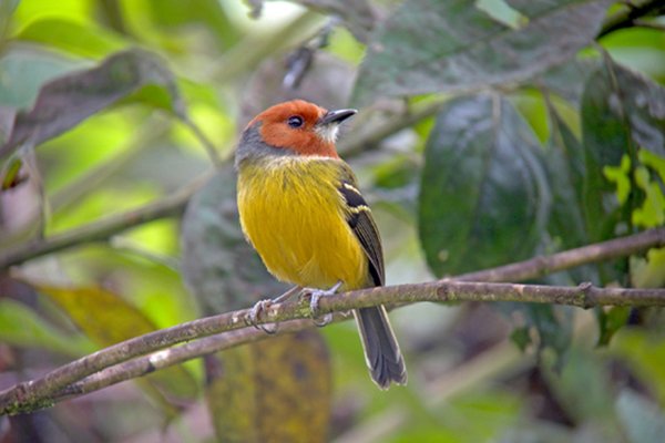 National Press (@nationalpress2) on Twitter photo 