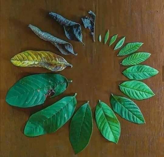 National Press (@nationalpress2) on Twitter photo 