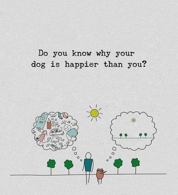 ThisIsShantanuC's tweet photo. Loved the creative and it's simplicity. 
#IntelligenceIsPower https://t.co/hC99V6I5fq